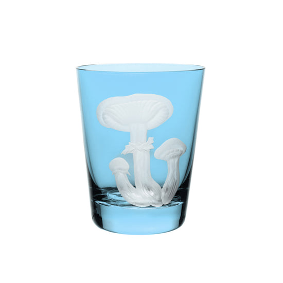 Mushrooms Honey Fungus