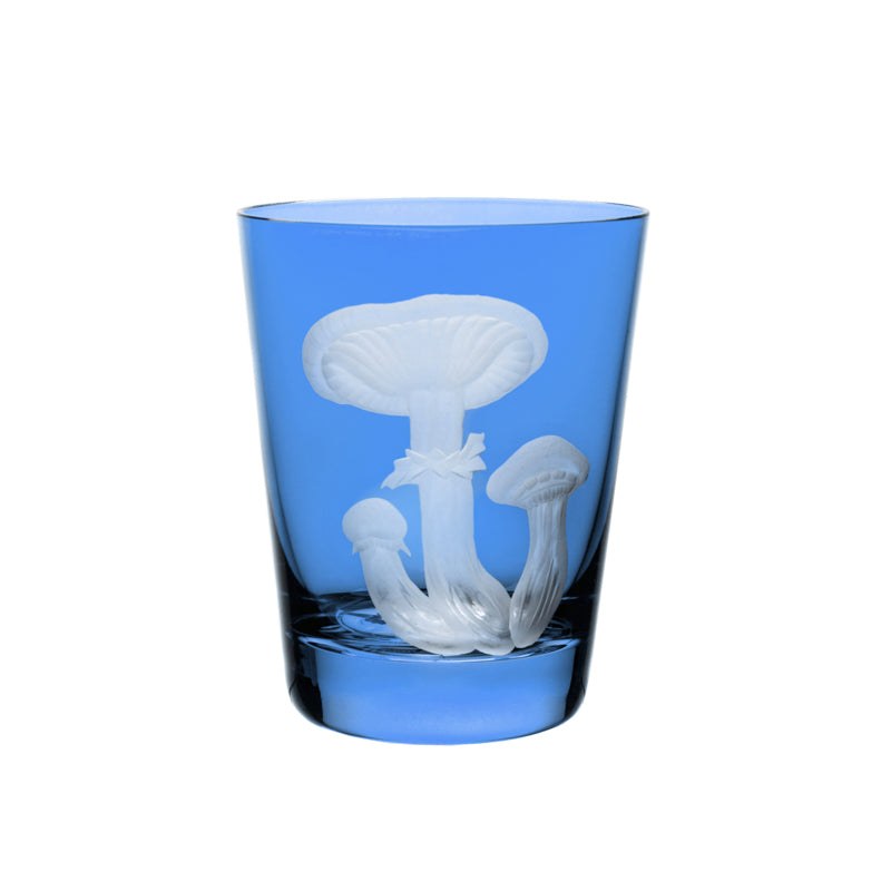 Mushrooms Honey Fungus