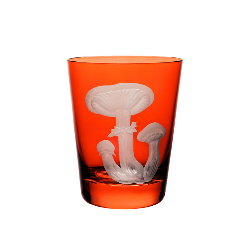 Mushrooms Honey Fungus