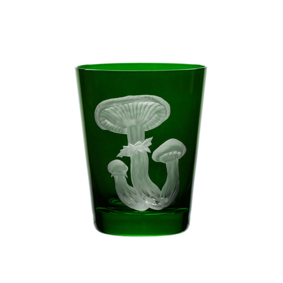 Mushrooms Honey Fungus