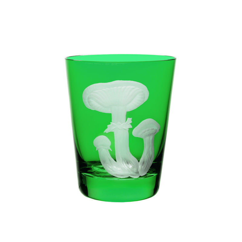 Mushrooms Honey Fungus