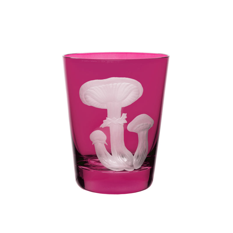 Mushrooms Honey Fungus