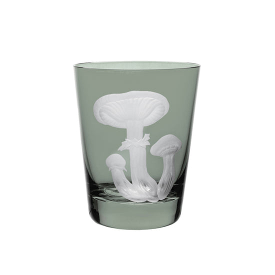 Mushrooms Honey Fungus