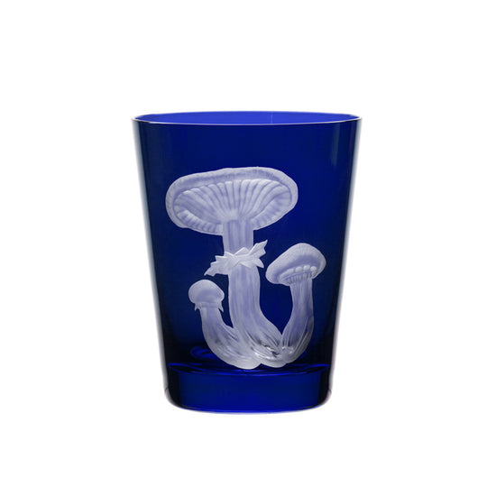 Mushrooms Honey Fungus