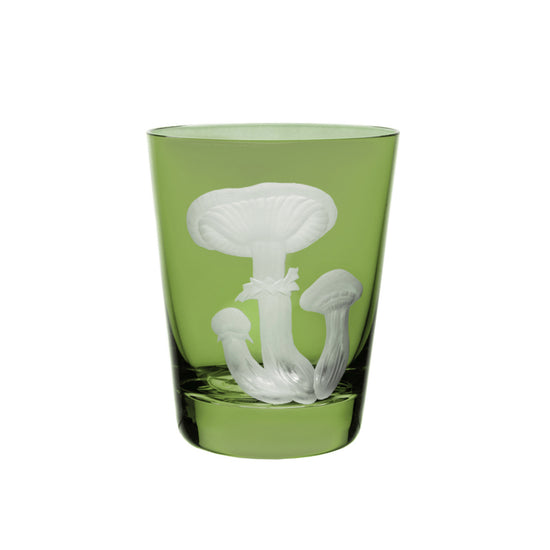 Mushrooms Honey Fungus