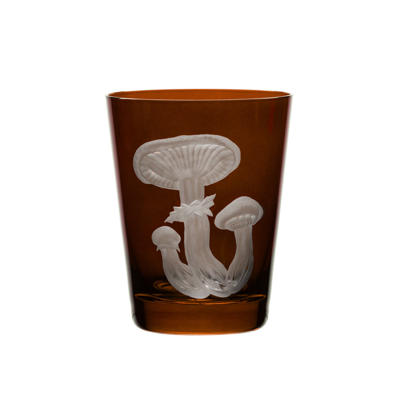 Mushrooms Honey Fungus