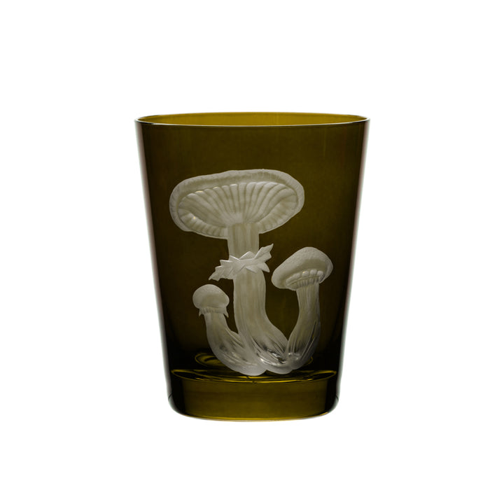 Mushrooms Honey Fungus