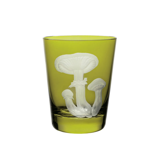 Mushrooms Honey Fungus