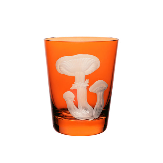 Mushrooms Honey Fungus