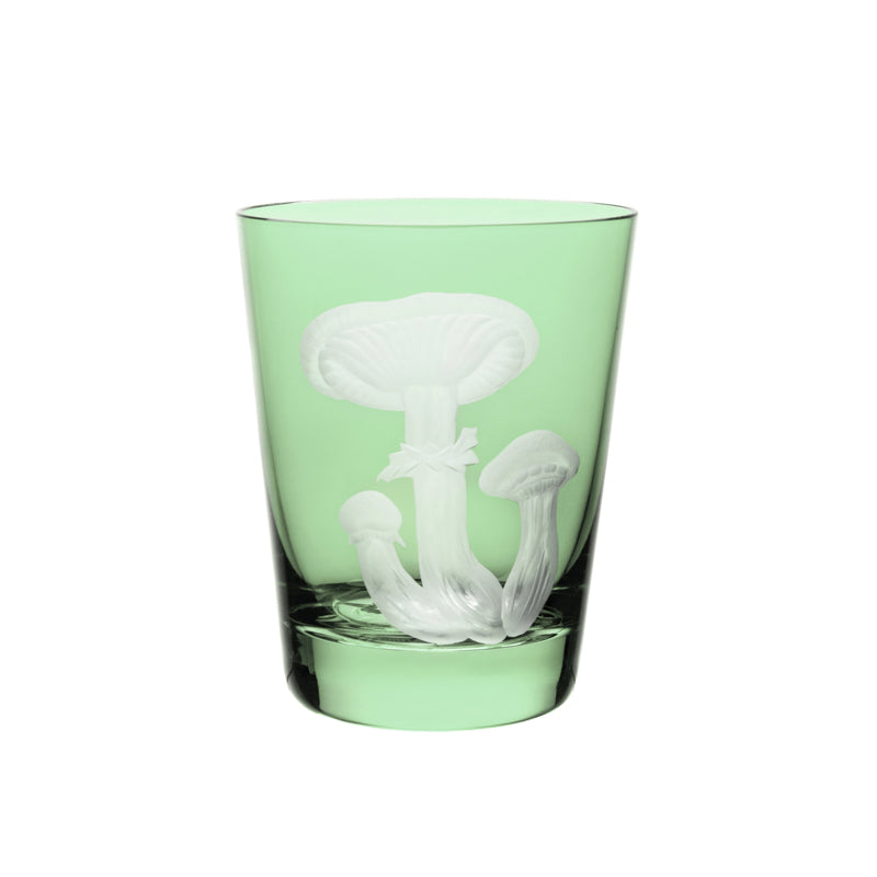 Mushrooms Honey Fungus