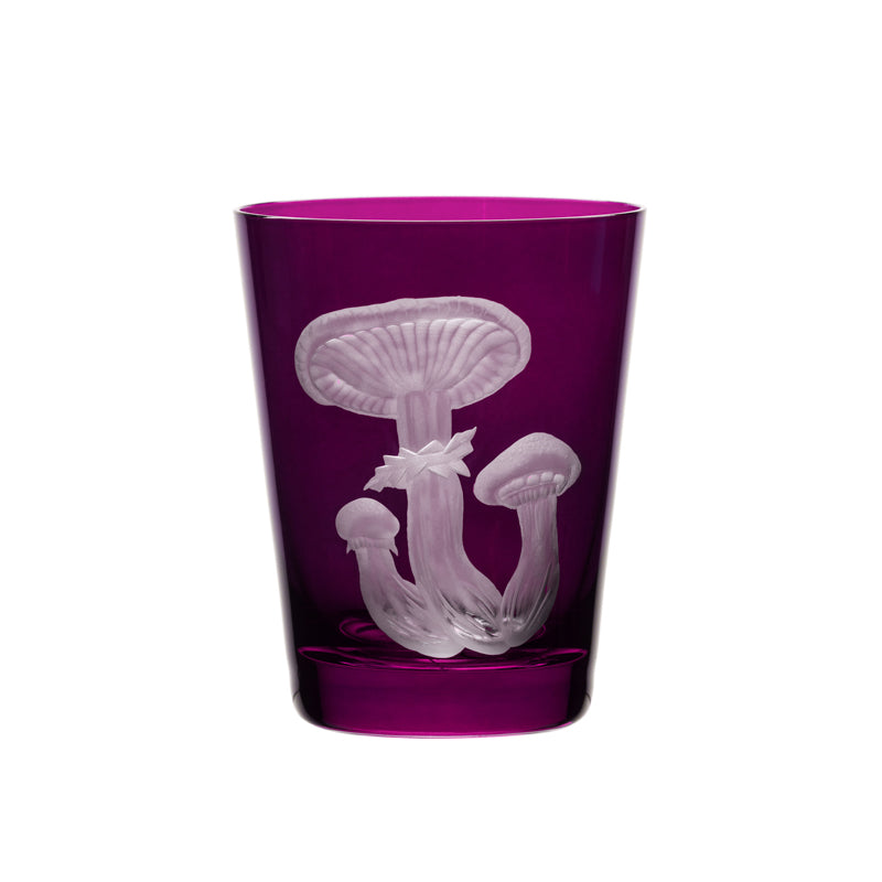 Mushrooms Honey Fungus