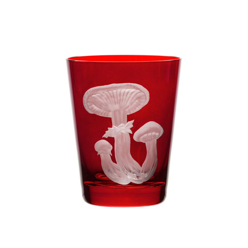 Mushrooms Honey Fungus