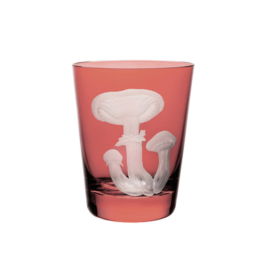 Mushrooms Honey Fungus