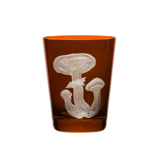 Mushrooms Honey Fungus