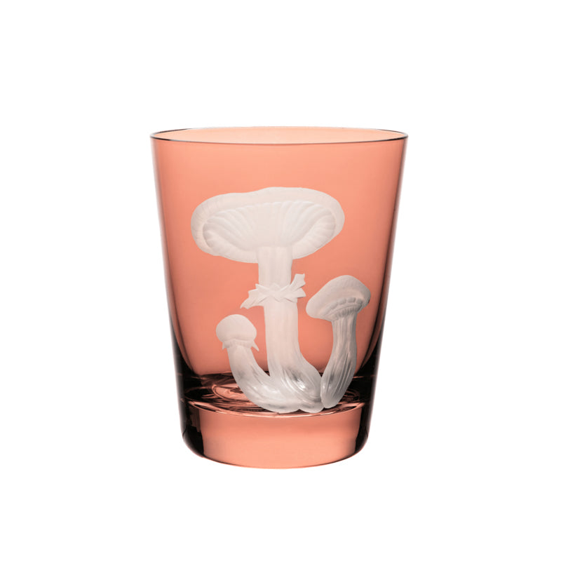 Mushrooms Honey Fungus