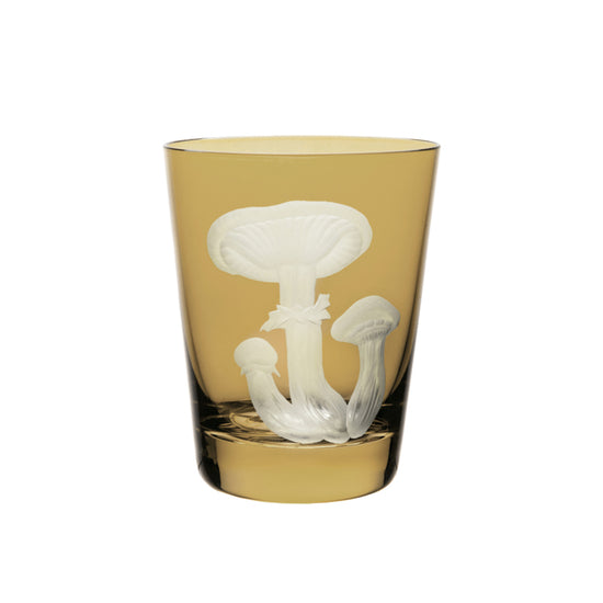 Mushrooms Honey Fungus