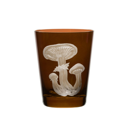 Mushrooms Honey Fungus