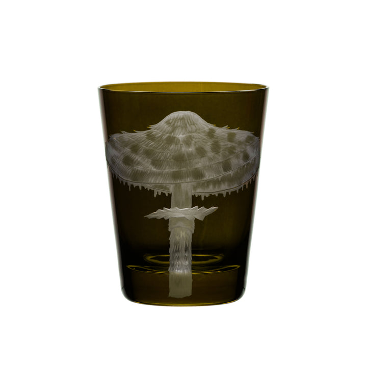 Mushrooms Parasol