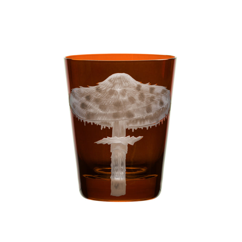 Mushrooms Parasol