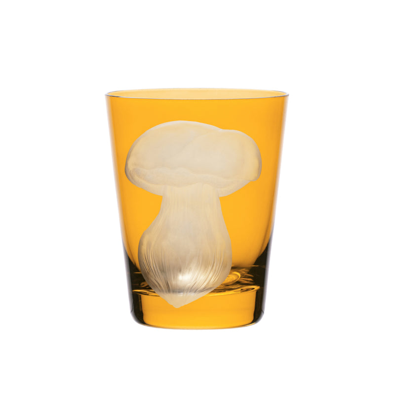 Mushrooms Summer Cep