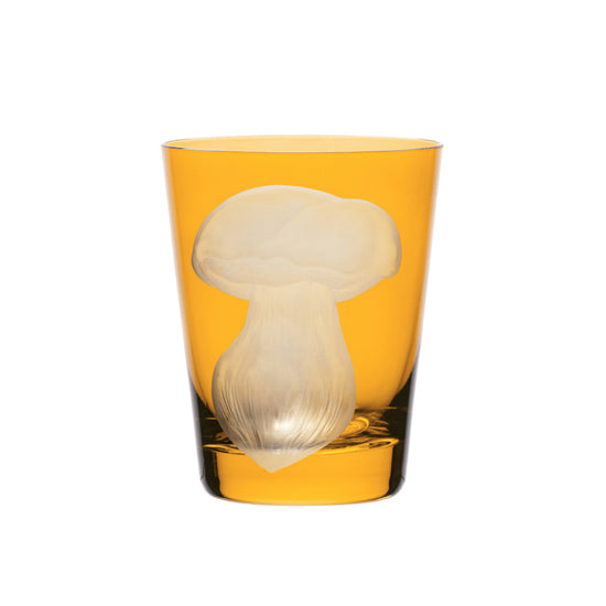 Mushrooms Summer Cep