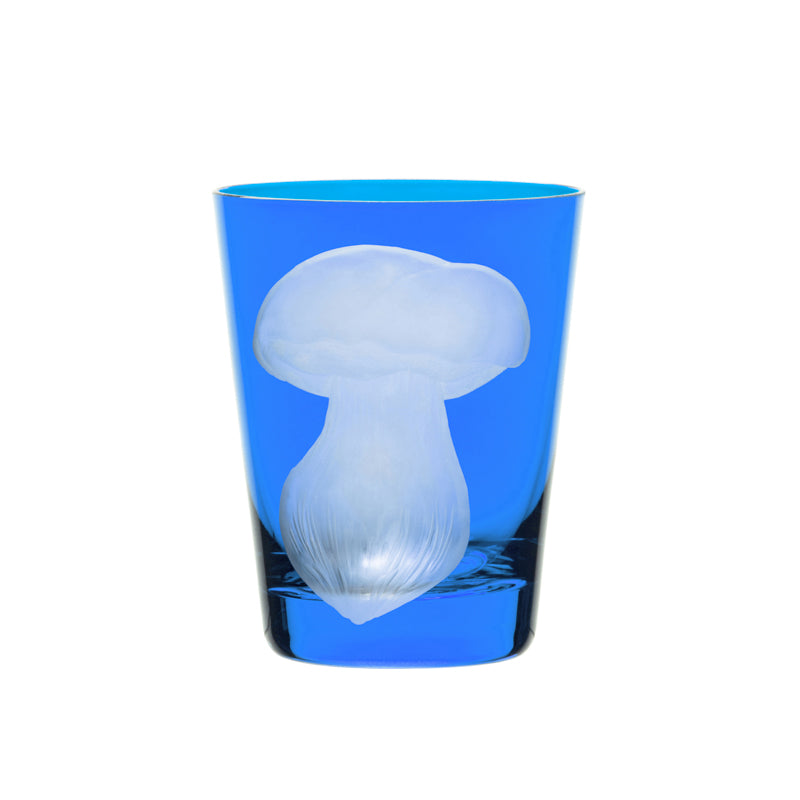 Mushrooms Summer Cep