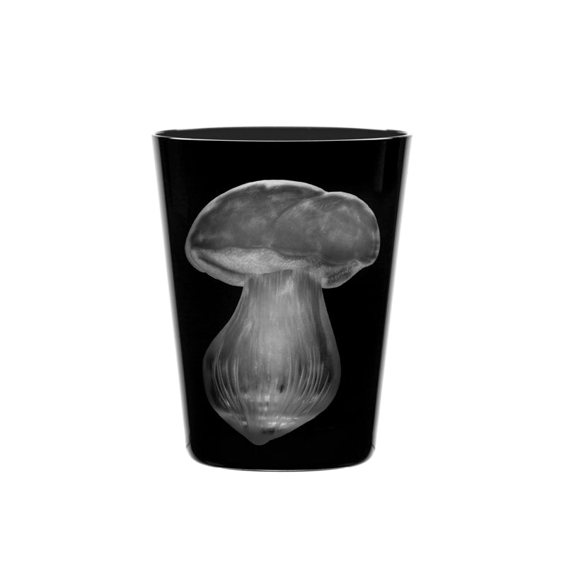 Mushrooms Summer Cep