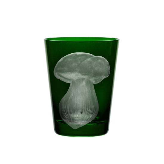 Mushrooms Summer Cep