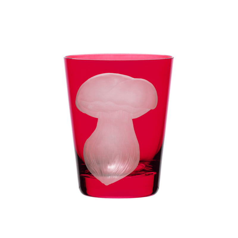 Mushrooms Summer Cep