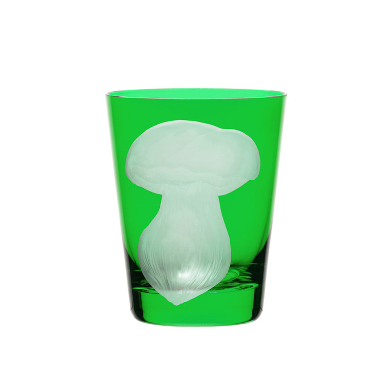 Mushrooms Summer Cep