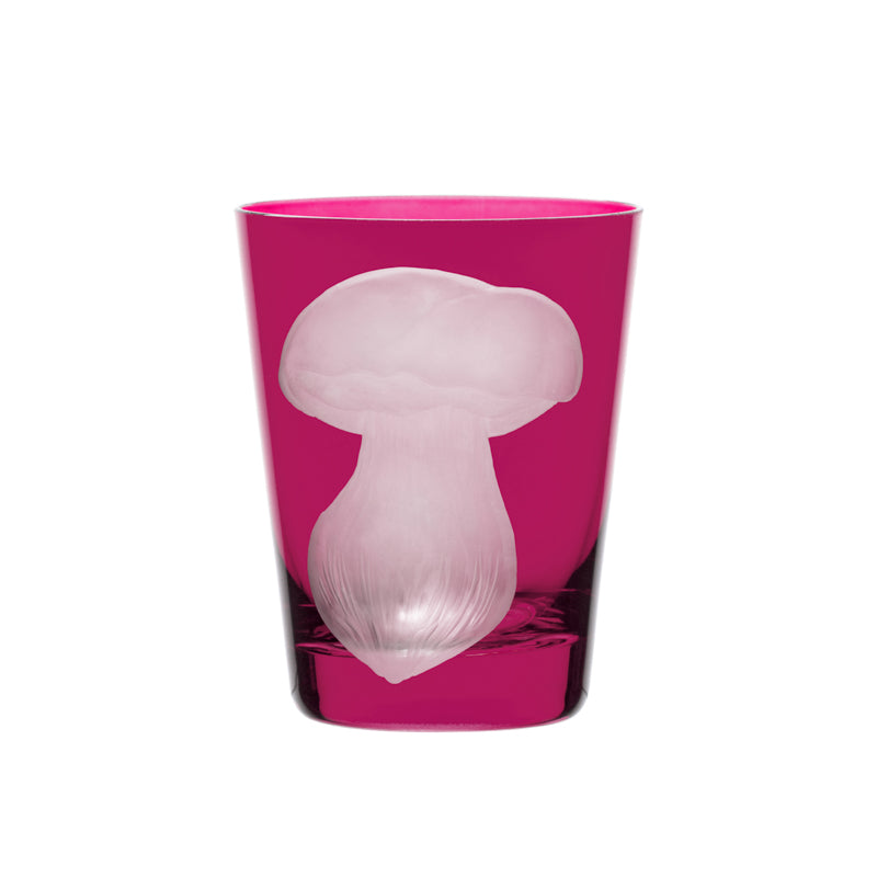 Mushrooms Summer Cep