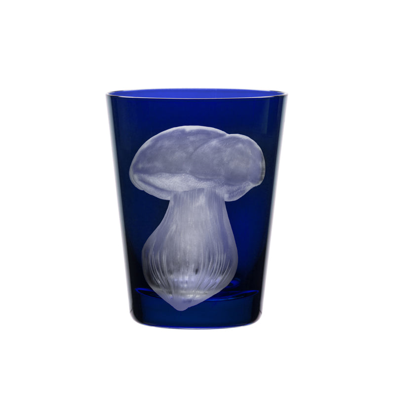 Mushrooms Summer Cep