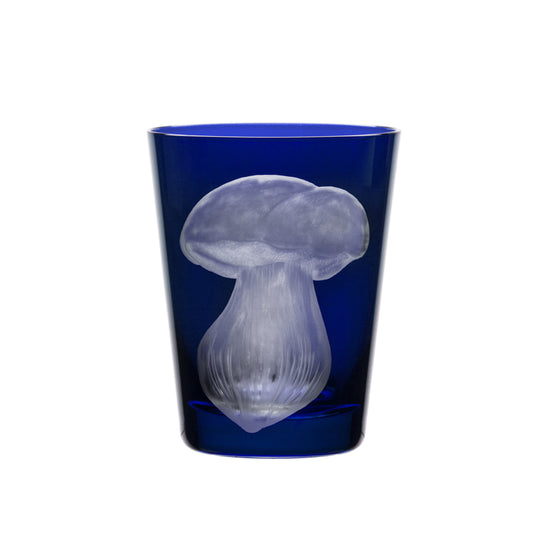 Mushrooms Summer Cep