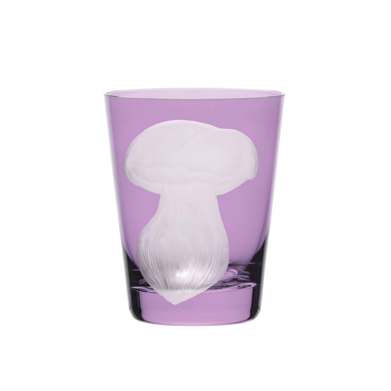 Mushrooms Summer Cep