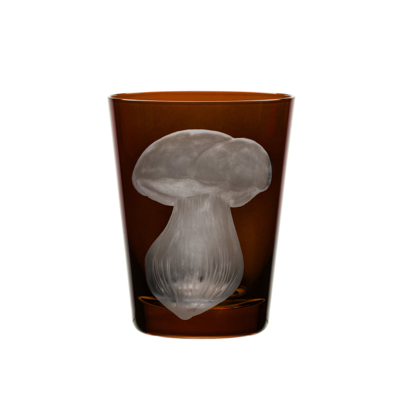 Mushrooms Summer Cep