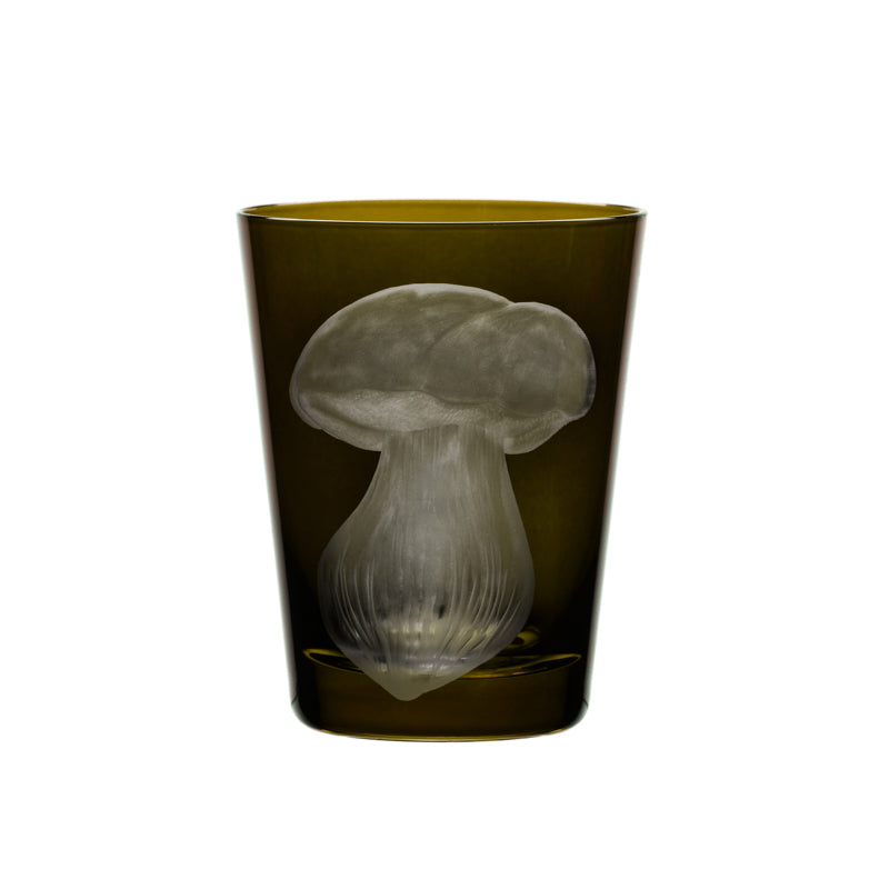 Mushrooms Summer Cep