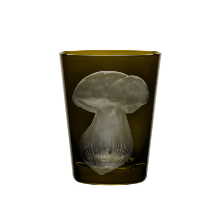 Mushrooms Summer Cep