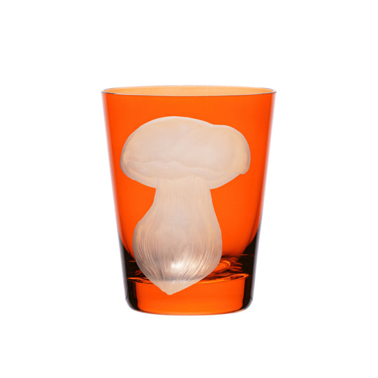 Mushrooms Summer Cep