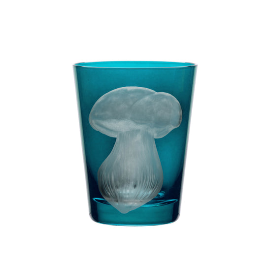 Mushrooms Summer Cep