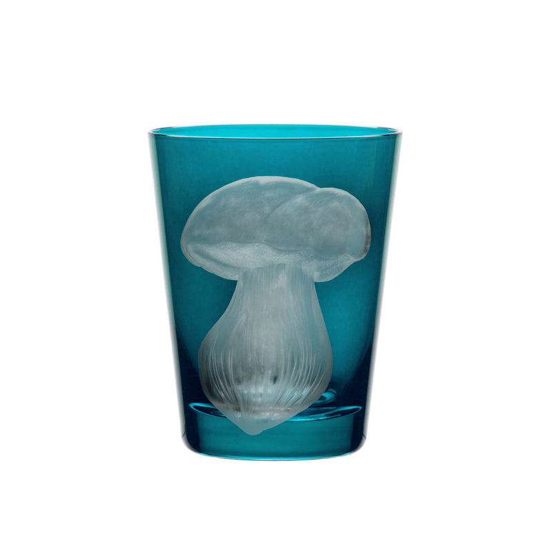 Mushrooms Summer Cep