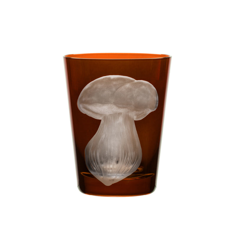 Mushrooms Summer Cep