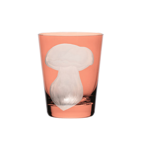 Mushrooms Summer Cep