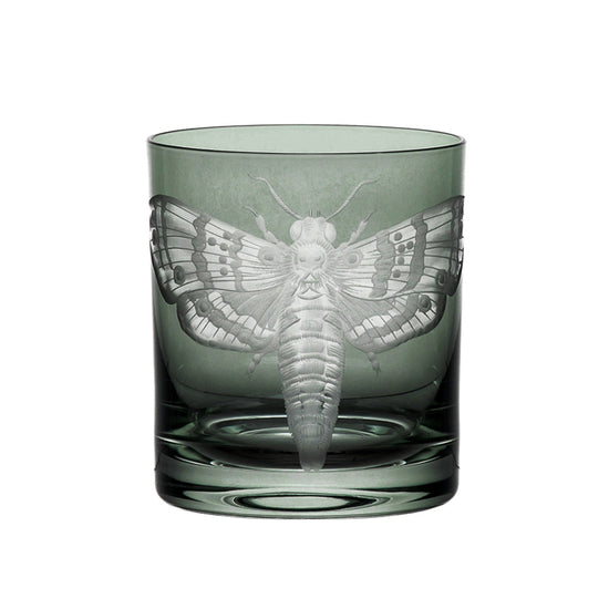 Cabinet of Curiosities Butterfly