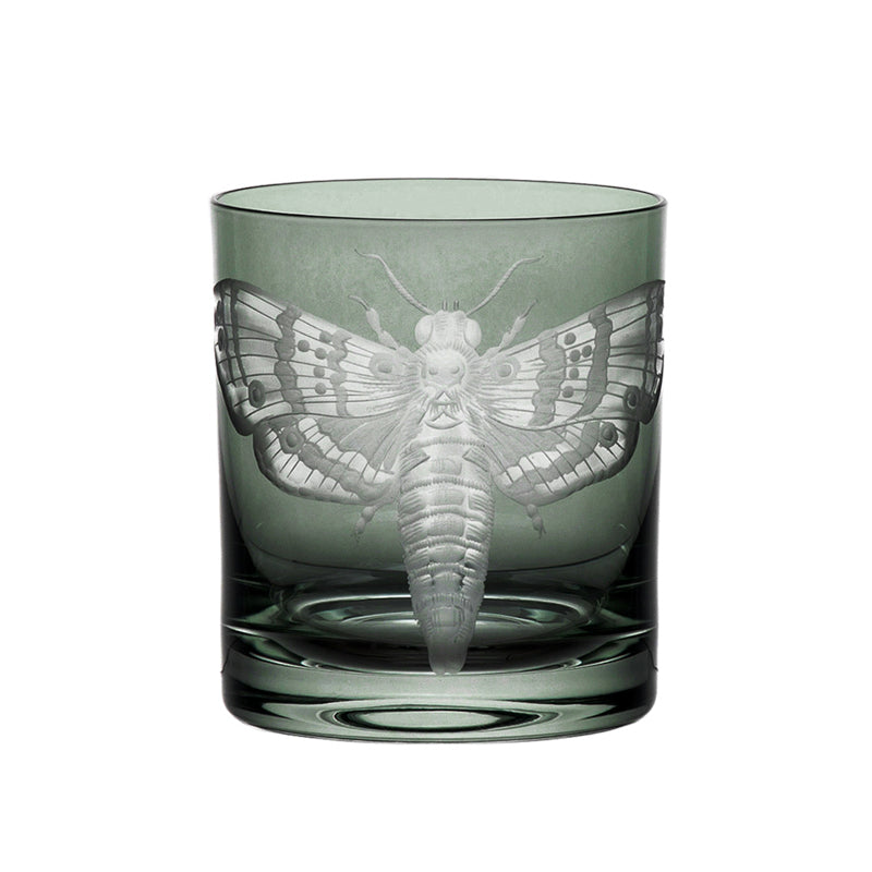 Cabinet of Curiosities Butterfly