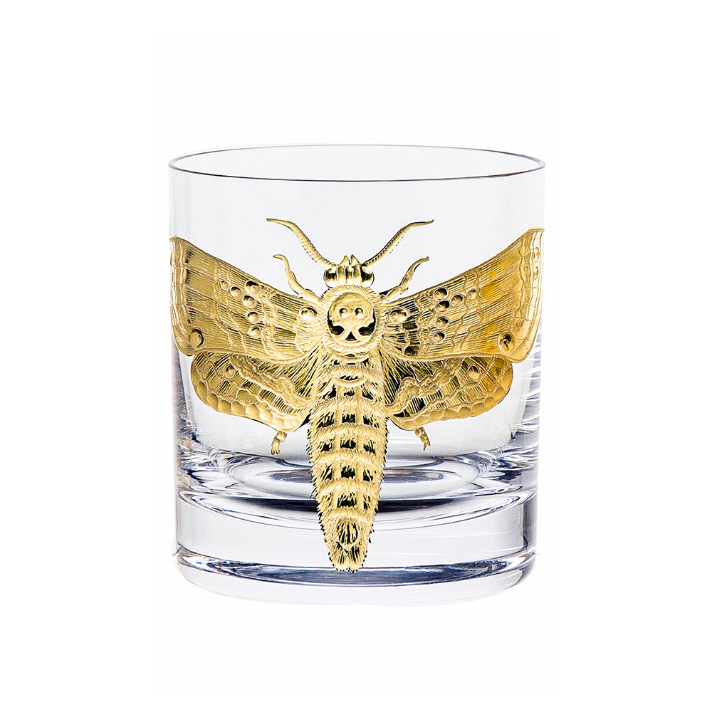 Cabinet of Curiosities Butterfly