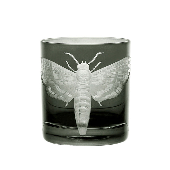 Cabinet of Curiosities Butterfly