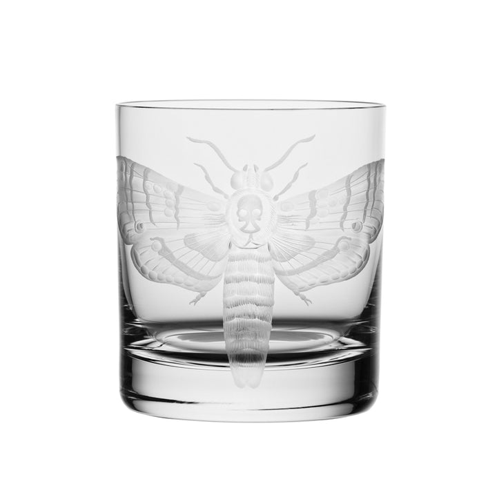 Cabinet of Curiosities Butterfly