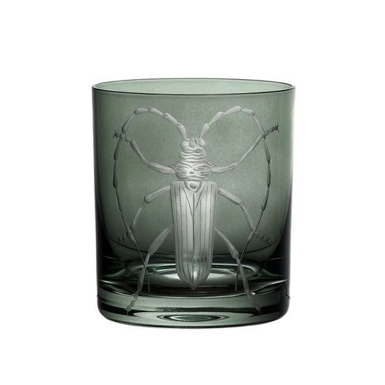 Cabinet of Curiosities Beetle