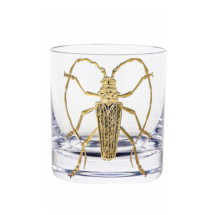 Cabinet of Curiosities Beetle