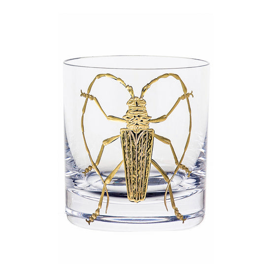 Cabinet of Curiosities Beetle